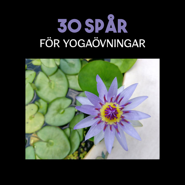 30 Spår för yogaövningar (Meditationsmusik med naturens ljud, För inre fred och harmoni, Stressreducering, Uppvaknande av sinnet)