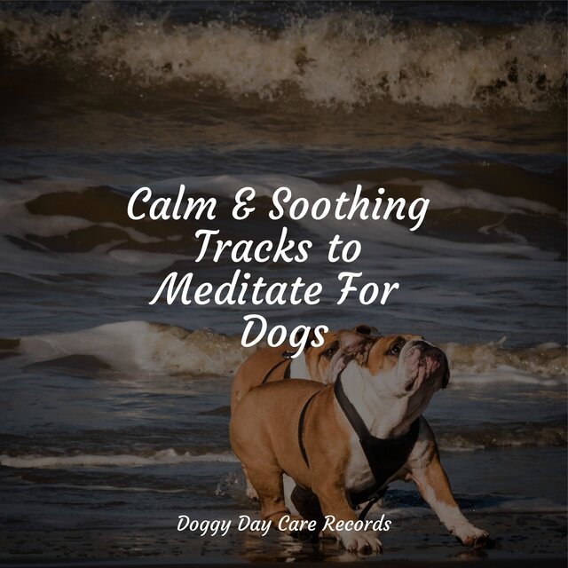 Calm & Soothing Tracks to Meditate For Dogs