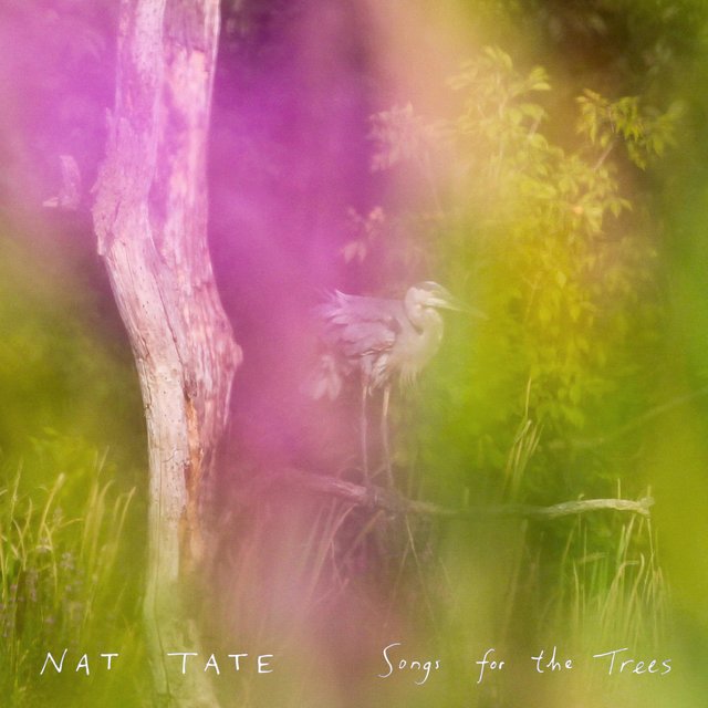 Songs for the Trees