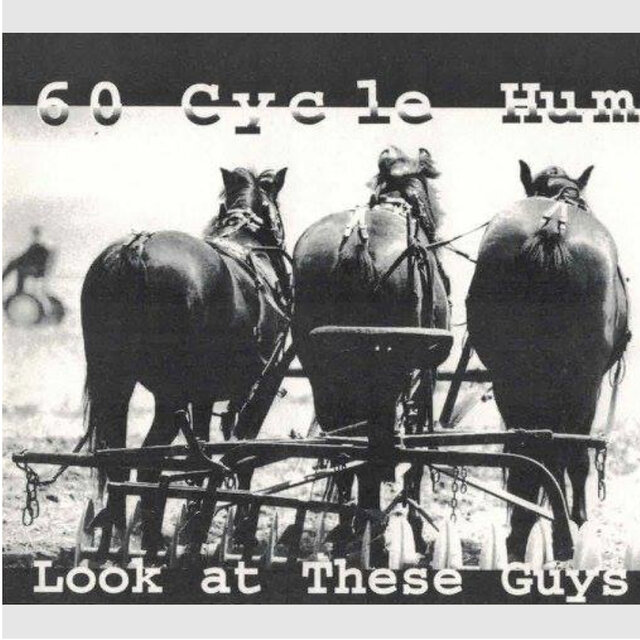Look at These Guys