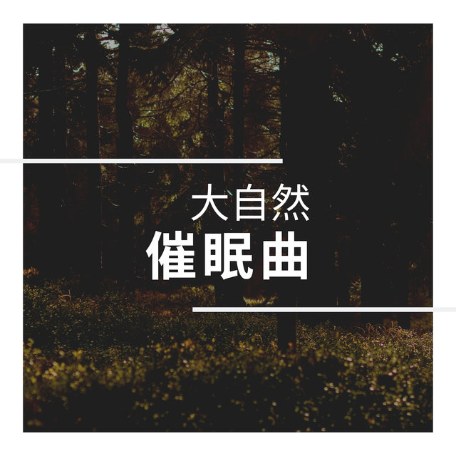 大自然催眠曲 - 大自然BGM為了午覺，休息，看書和做作業
