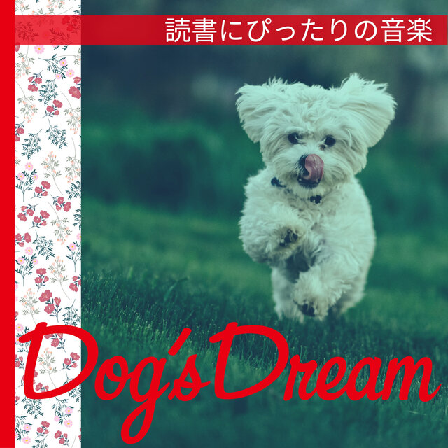 読書にぴったりの音楽