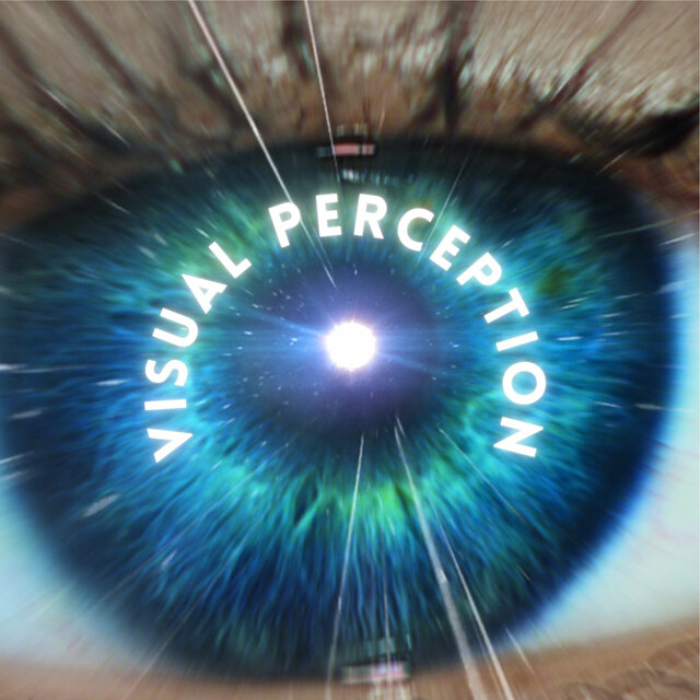 Visual Perception