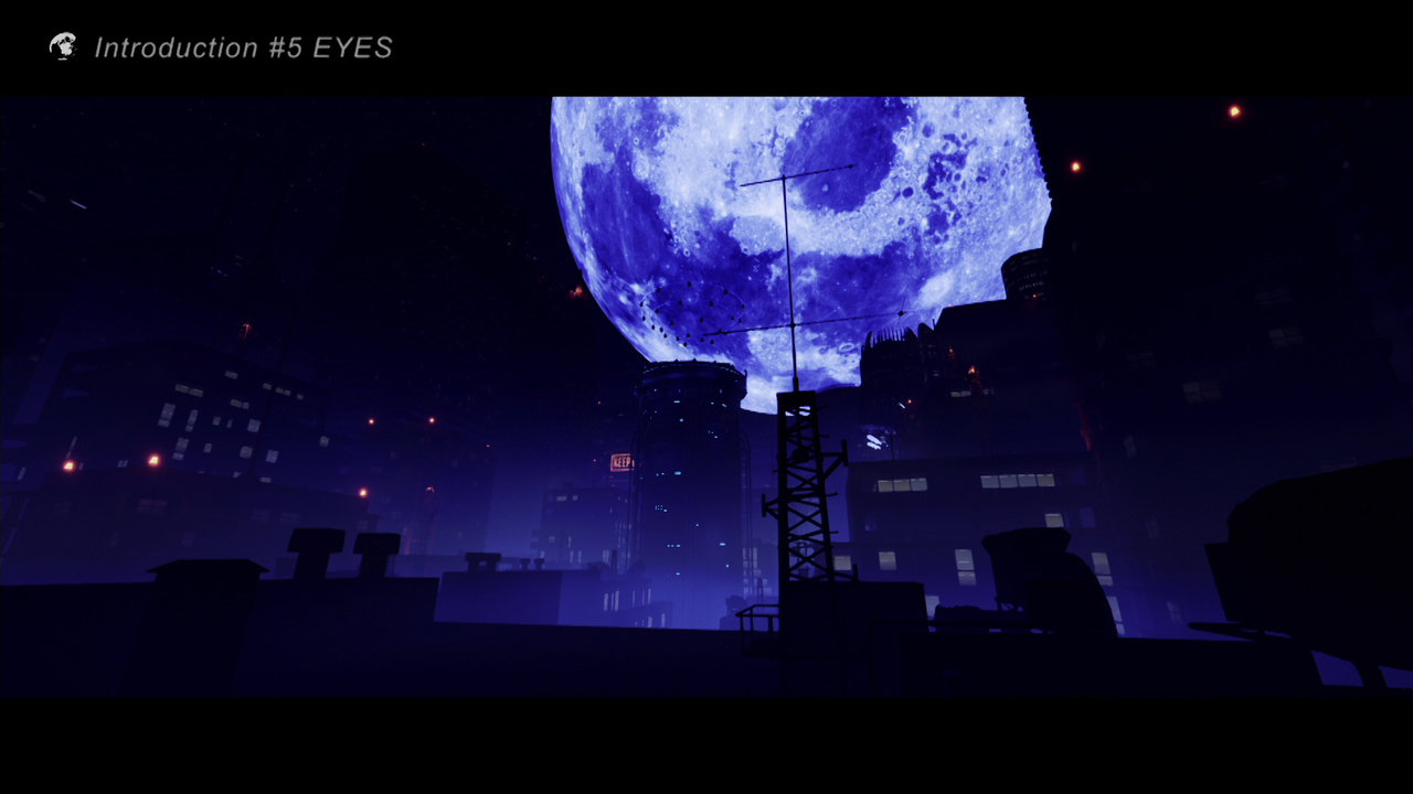 Introduction #5 Eyes