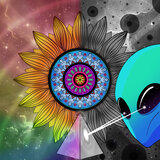 Prisma