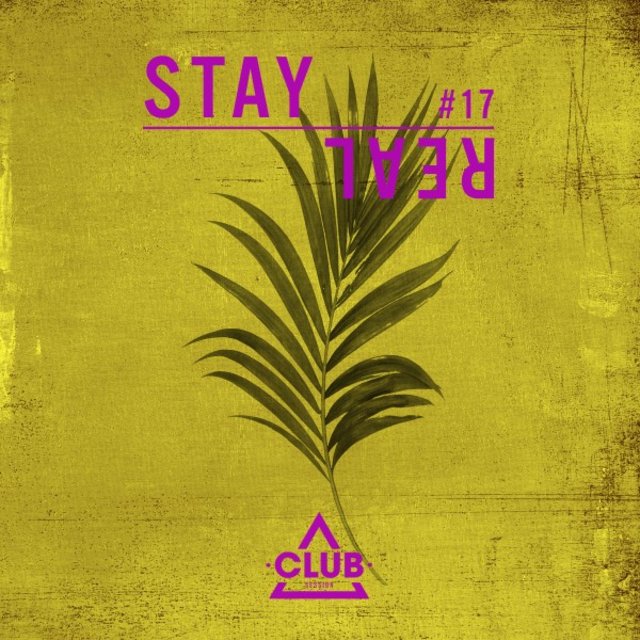 Stay Real, Vol. 17