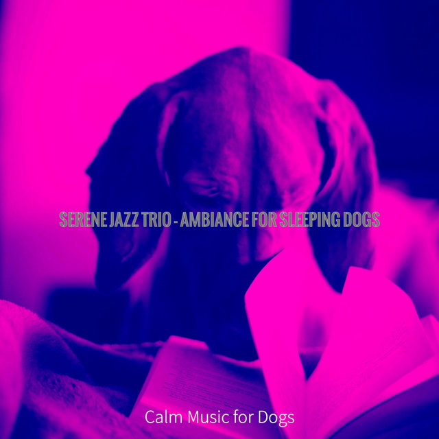 Serene Jazz Trio - Ambiance for Sleeping Dogs