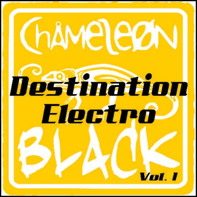 Destination Electro, Vol. 1