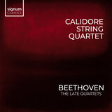 String Quartet No. 13 in B-Flat major, Op. 130: III. Andante con moto ma non troppo. Poco scherzando