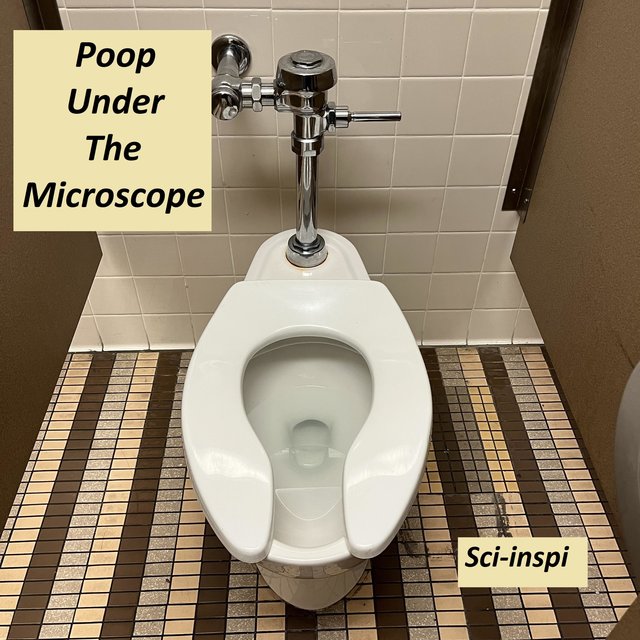 Poop Under The Microscope