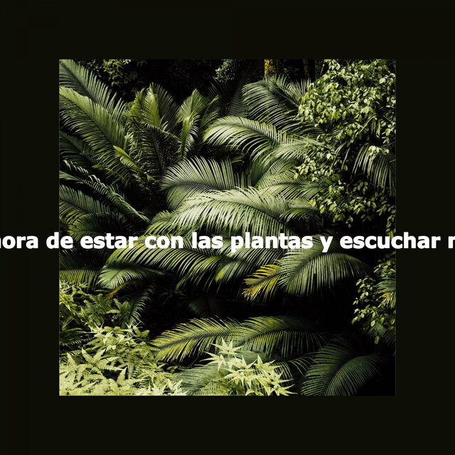 Es la hora de estar con las plantas y escuchar música