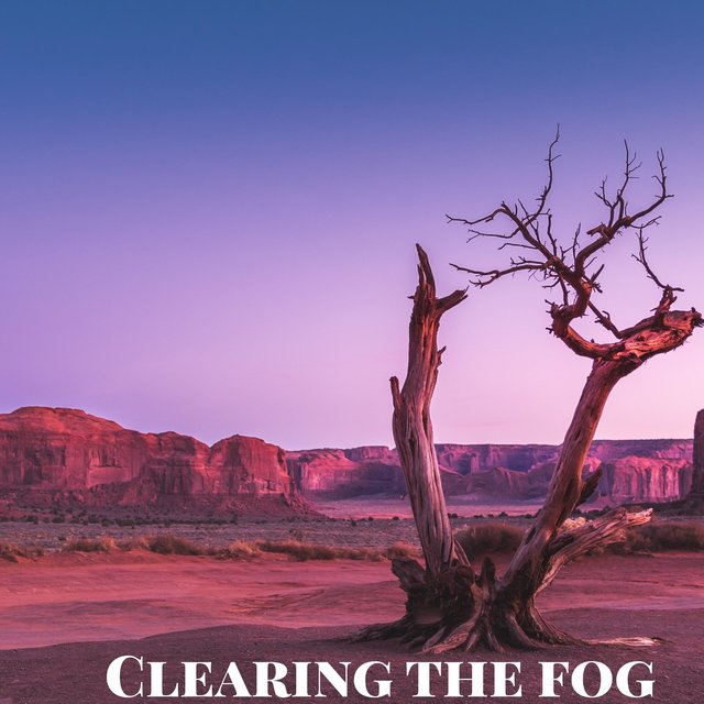 CLEARING THE FOG