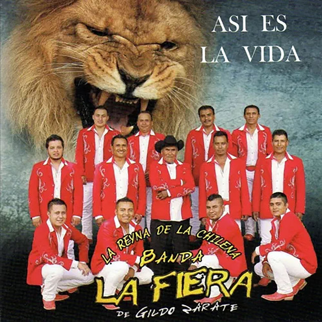 Así es la Vida