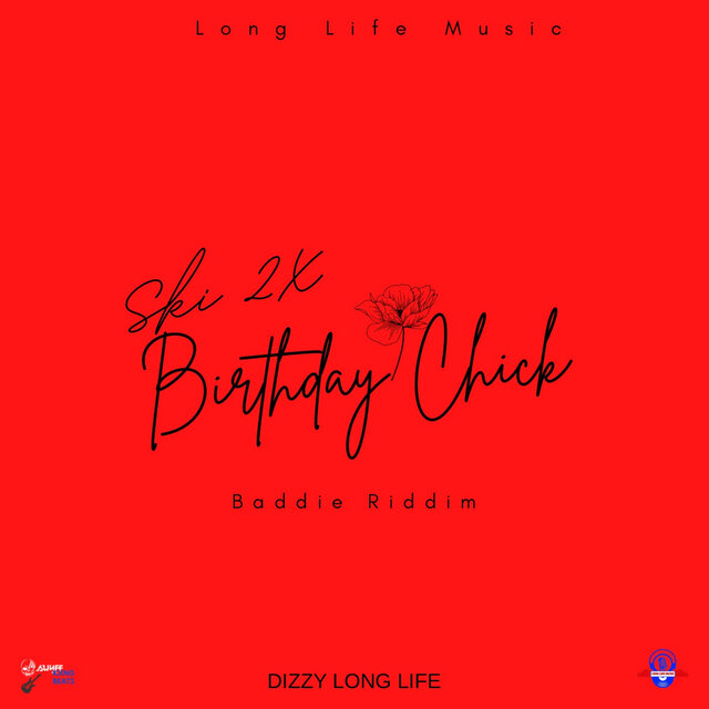 Cover art for album Birthday Chick by SKI 2X, Dizzy long life