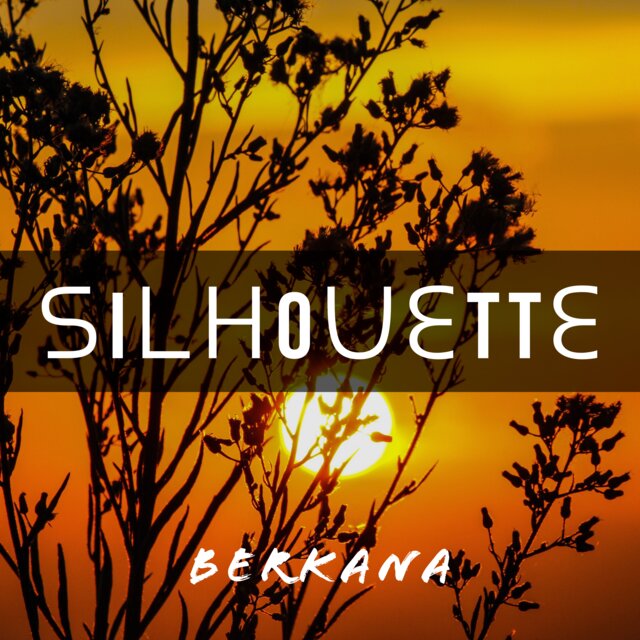 Silhouette