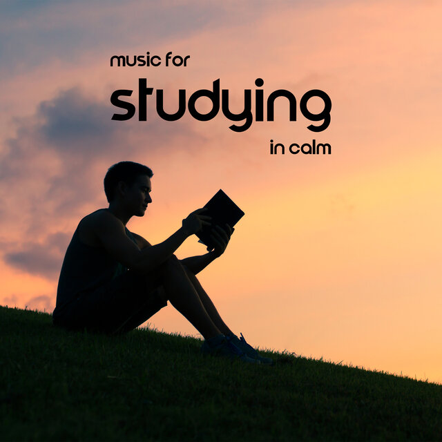 Music For Studying In Calm