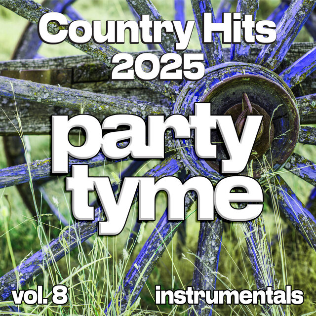 Country Hits 2025, Vol. 8 (instrumental)