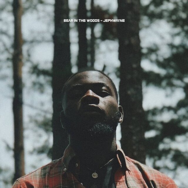 Bear In The Woods