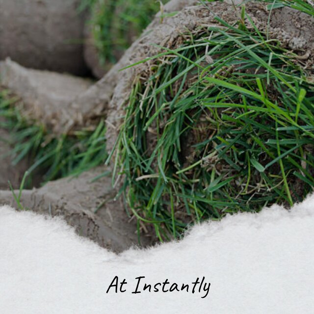 At Instantly