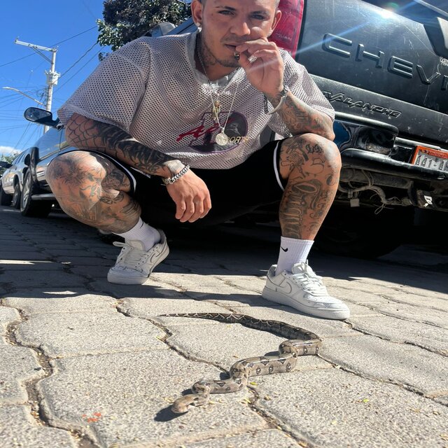 recaidas