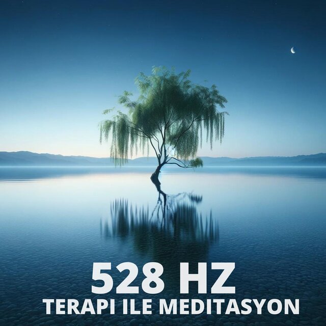 528 Hz Terapi ile Meditasyon: Tüm Vücut Yenilenmesi, Pozitif Enerji, Anti Stres ve Kaygı