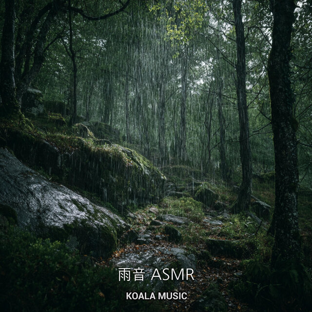 雨音 ASMR