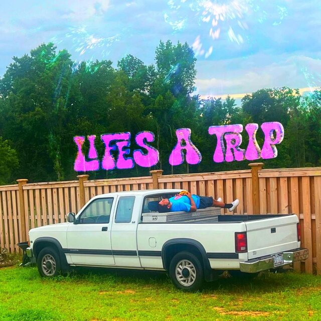 Lifes A Trip
