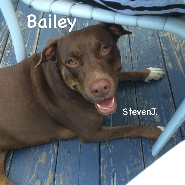 Bailey