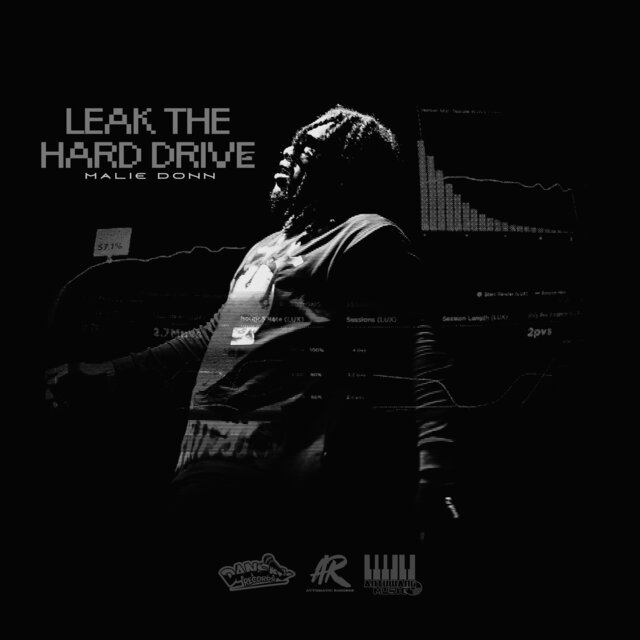 Leak The Hard Drive