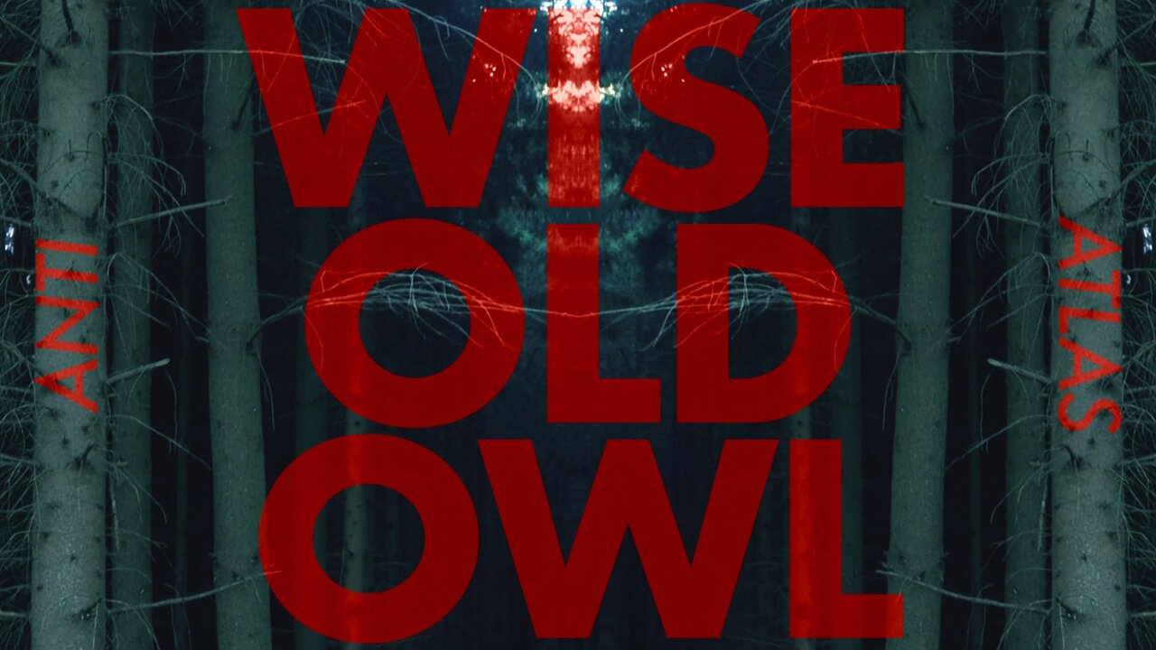 Wise Old Owl