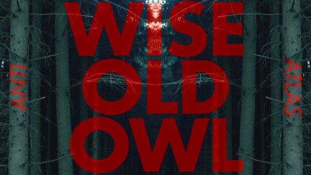 Wise Old Owl