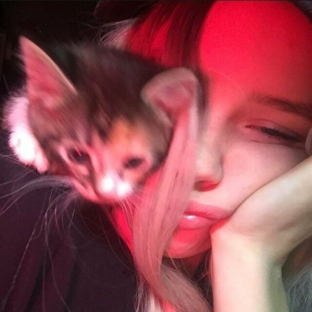 Popipo
