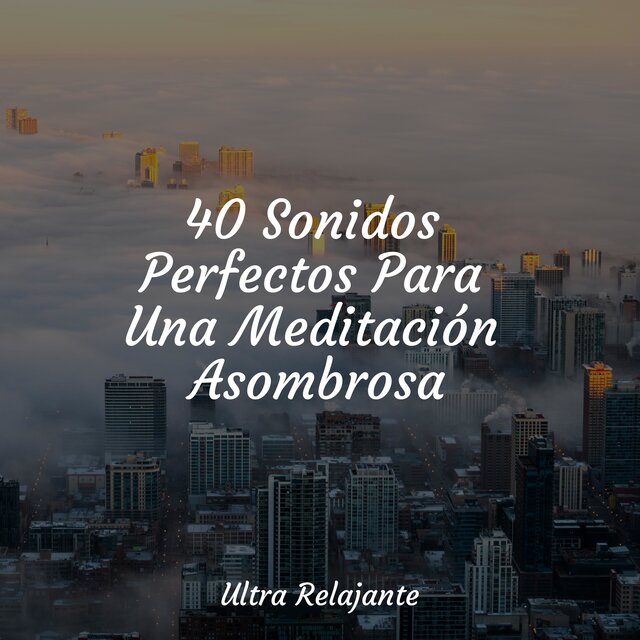 40 Sonidos Perfectos Para Una Meditación Asombrosa
