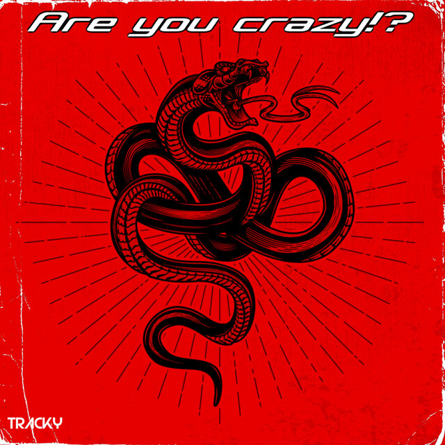 Are you Crazy!?