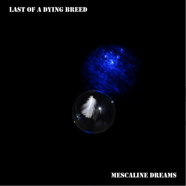 Mescaline Dreams
