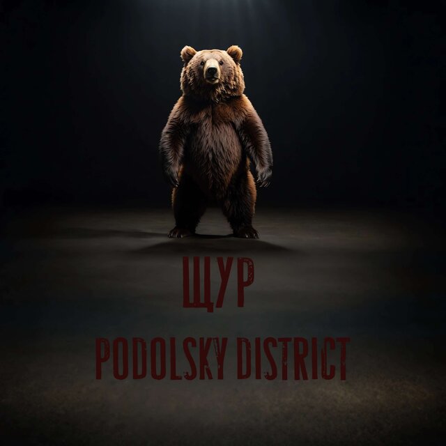 PODOLSKY DISTRICT
