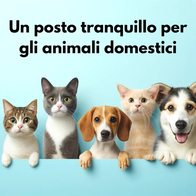 Un posto tranquillo per gli animali domestici: Musica per mantenere i tuoi animali domestici felici e in salute