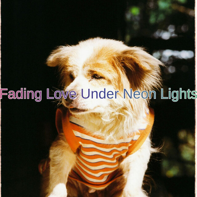 Fading Love Under Neon Lights