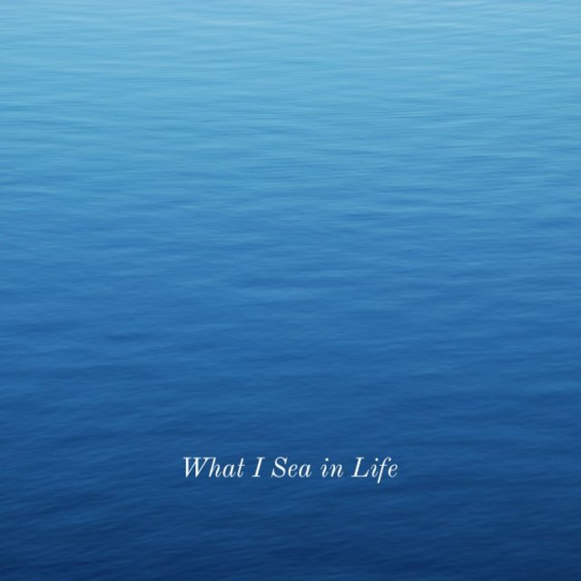 What I Sea in Life