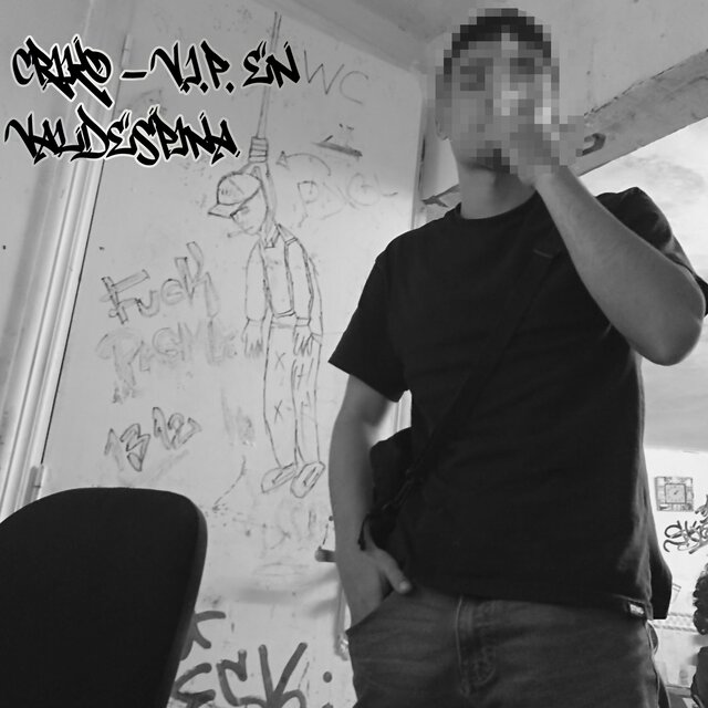 V.I.P. EN VALDESPINA
