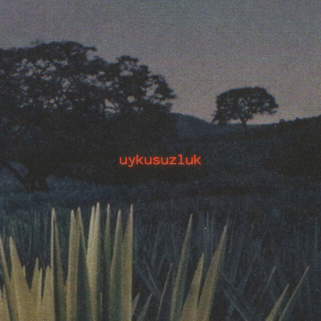 Uykusuzluk (Intro)