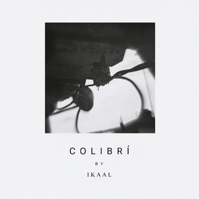 Colibrí