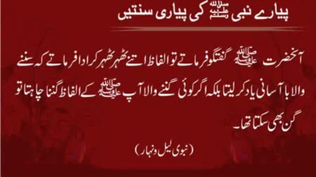 Theher Theher Kar Guftago | Sunnat-e-Nabvi | Deen Islam | HD Video