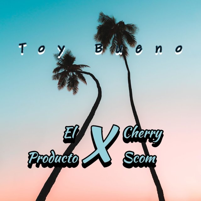Toy Bueno