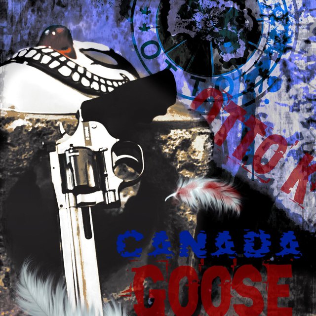 Canada Goose