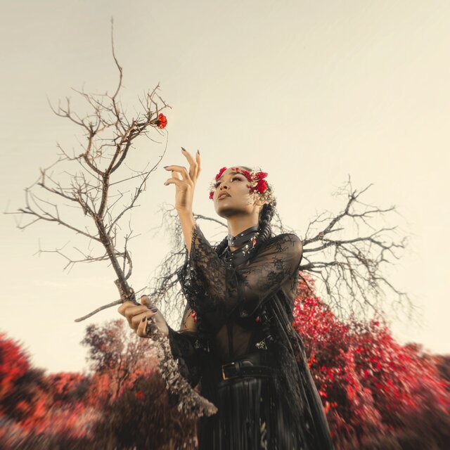 Cover art for album  by Melissa Bonny