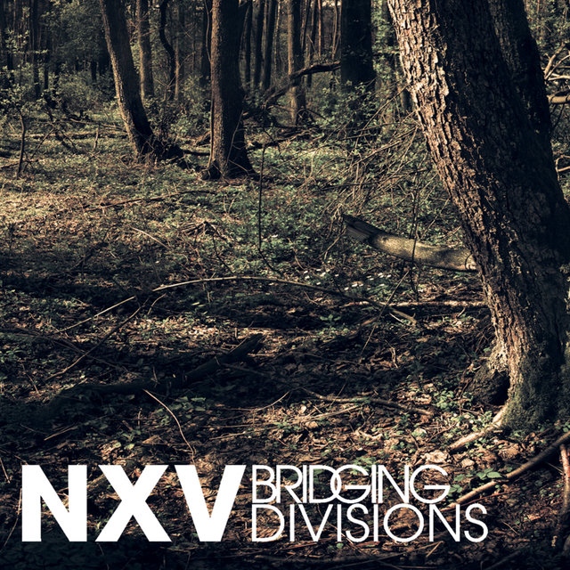 Bridging Divisions