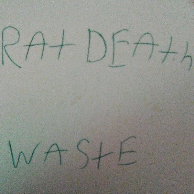 Waste