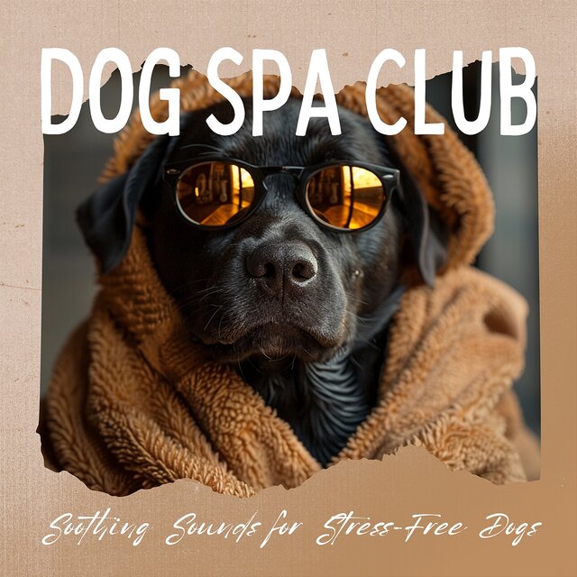 Soothing Sounds for Stress-Free Dogs