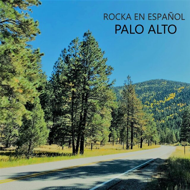 Palo Alto